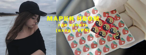 гидропоника Бородино
