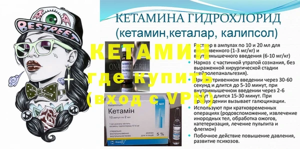 сатива Бронницы