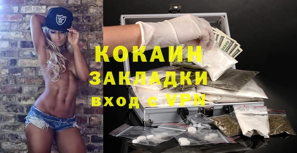 сатива Бронницы