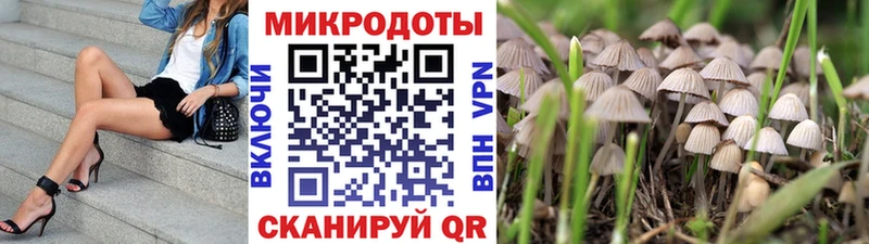 как найти   Качканар  Галлюциногенные грибы мухоморы 